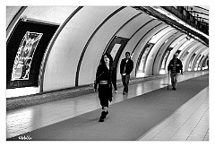 O - Daniela Street_005